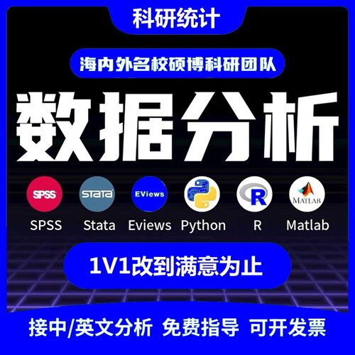 spss数据分析服务stata计量eviews实证医学问卷python统计R代做