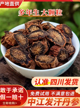 四川中江正宗发汗紫丹参中药材野生丹参特级黄芪山楂三通泡茶泡水