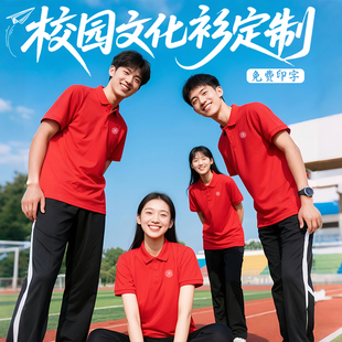 纯棉POLO衫 学校活动T恤大学教师工作服 定制初高中运动会班服服装