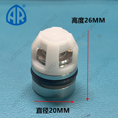 AR洗车机单向阀500公斤水阀CODE43408/RGX22.50/26557通用阀门件