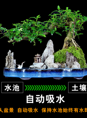 小叶榕树盆景老桩造型悬崖提根树桩假山植L物室内桌面绿植盆栽送
