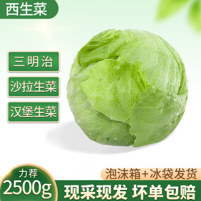 沙拉蔬菜简鲜坊新鲜西生菜