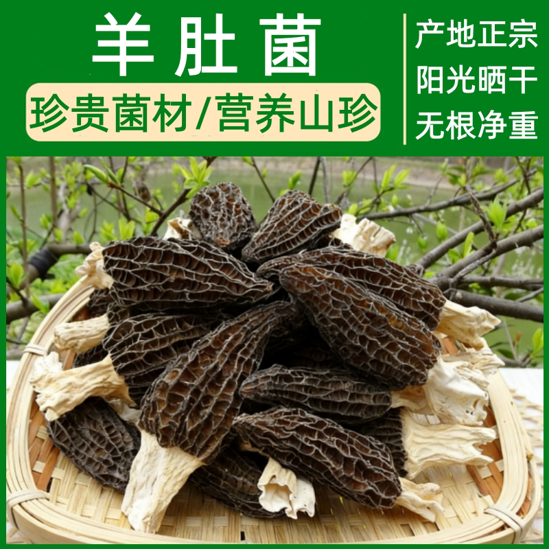 正宗云南原产羊肚菌干货500g无杂煲汤炖肉家常老少皆滋补养生食材