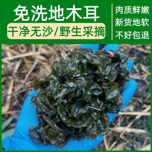 野生地皮菜干货免洗地木耳农家优质雷公菌蒸包子食材地软野地衣菜
