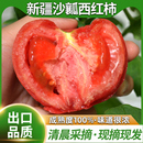 吐鲁番生吃新鲜自然熟甜番茄水果 新疆西红柿普罗旺斯番茄顺丰 包邮