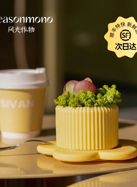 风光作物生长蛋糕趣味多肉阳台好养绿植乔迁生日礼物