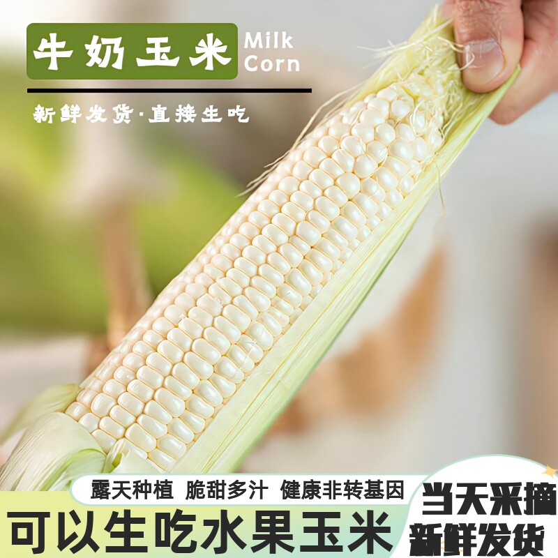 新鲜水果玉米牛奶玉米甜玉米冰糖白玉米代餐现摘清甜爆浆可以生吃