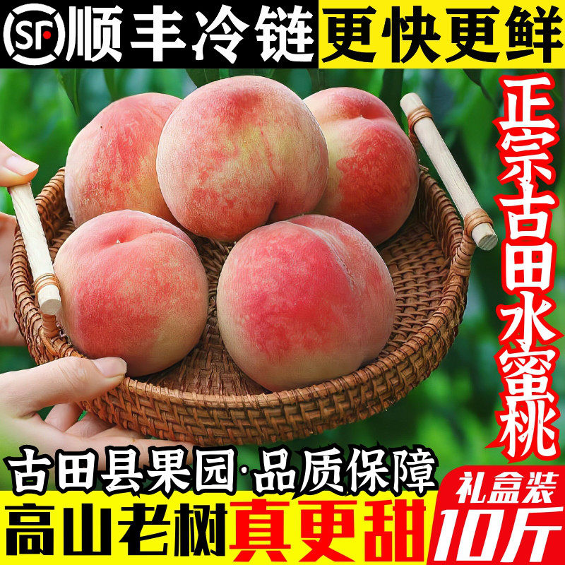 正宗古田水蜜桃白凤桃福建脆甜大桃子当季新鲜水果礼盒装【精品】