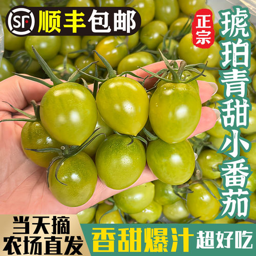 喜甜选择！超甜多汁！青甜小番茄