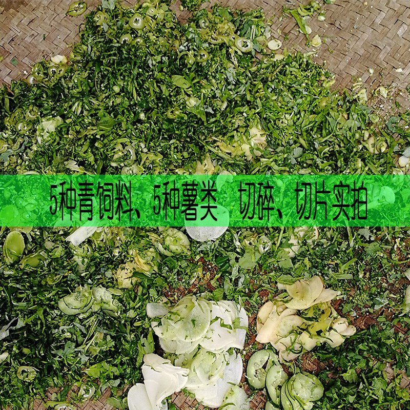 切草机碎草机 养殖家用小型打猪草机器切猪食机 菜叶玉米h秸秆粉