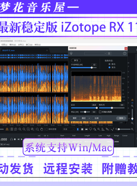 iZotope RX 11降噪人声伴奏中文版RX10去口水音效果器插件Win/Mac