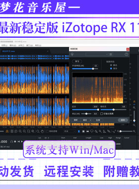 iZotope RX 12降噪人声伴奏中文版RX10去口水音效果器插件Win/Mac