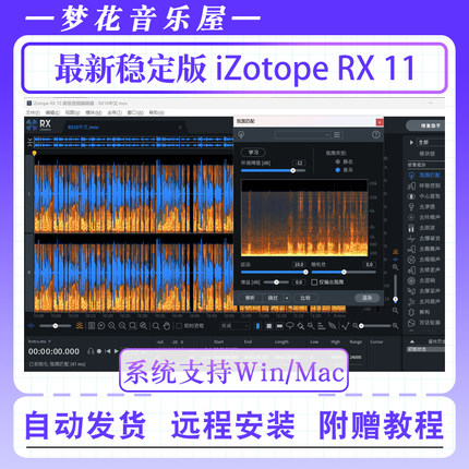 iZotope RX 12降噪人声伴奏中文版RX10去口水音效果器插件Win/Mac