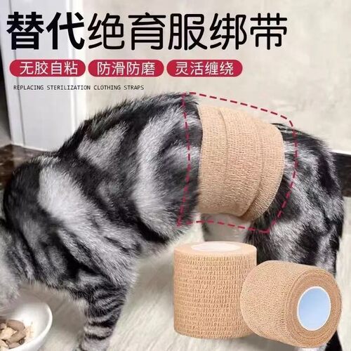 猫咪绝育服绑带猫用狗狗伤口包扎