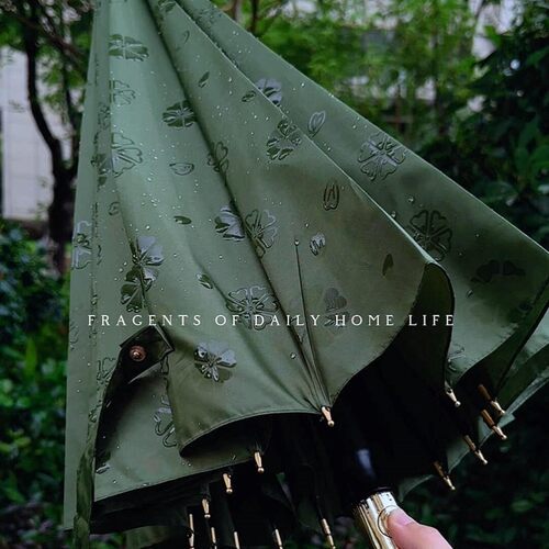 遇水开花雨伞长柄雨伞大号绿色创意高颜值抗大风24骨雨伞遇水开花