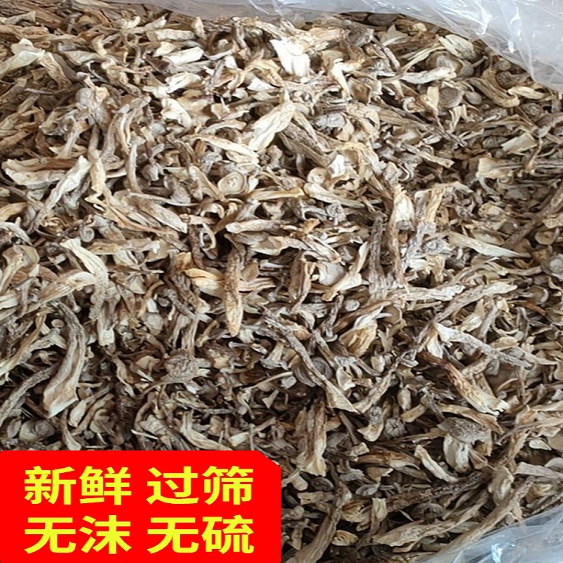 鹿茸菇大碎片500g干货脆脆菇鹿茸菌包子饺子馅料食用菌古田土特产