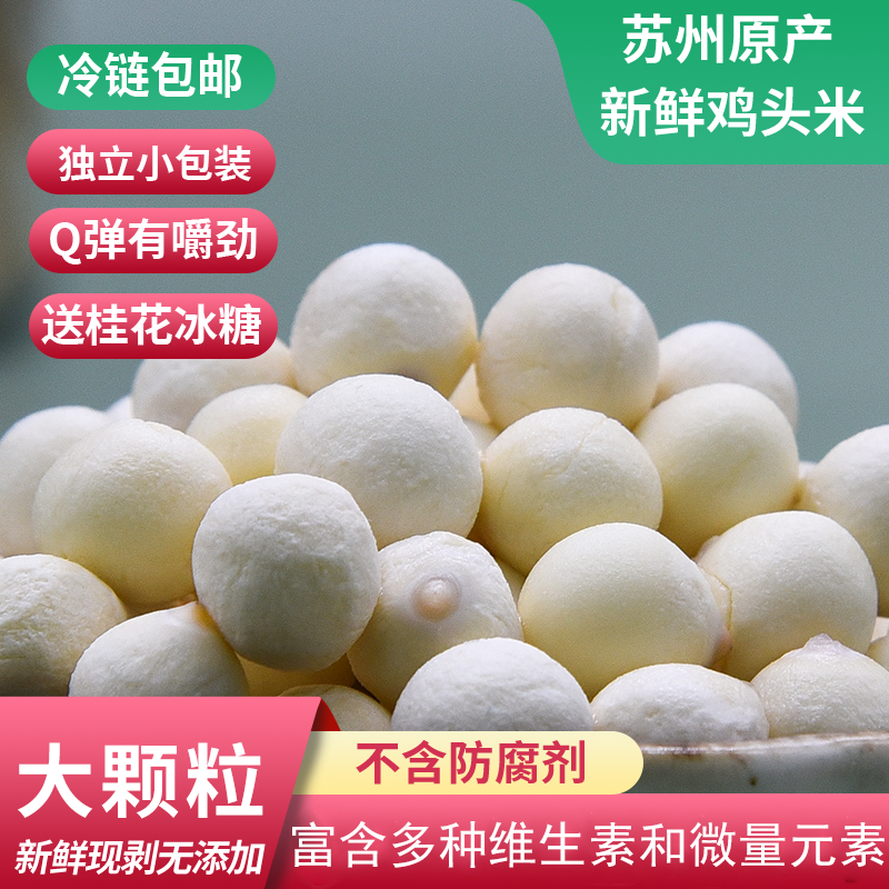 【苏州鸡头米】苏州鸡头米苏州特产鸡头米新鲜采摘1斤/2斤