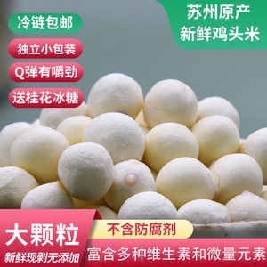 桓博农场【苏州鸡头米】苏州鸡头米苏州特产鸡头米新鲜采摘