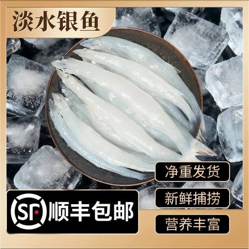 桓博农场银鱼食用三白银鱼新鲜淡水无刺营养钙高蛋白高6/10包