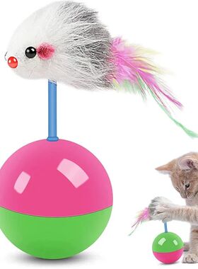 1PC Cat Toys Set Fun Teasing Cats And Dogs Self-Rolling Mous