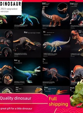 Dinosaur toy animal model Tyrannosaurus rex set 恐龙玩具模型