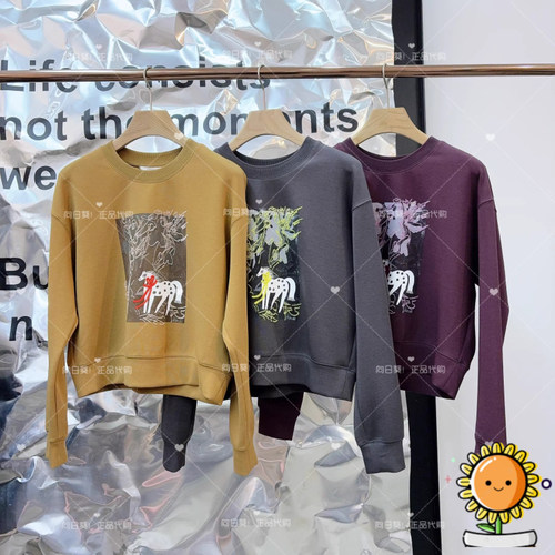 国内代购衣播26年春BDT1VD1240复古宽松绣花圆领领卫衣晨光美景