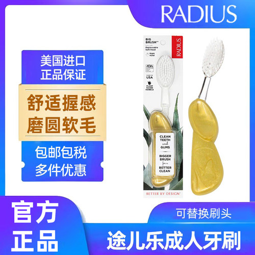 RADIUS Big Brush系列成人可更换刷头柔软牙刷1支