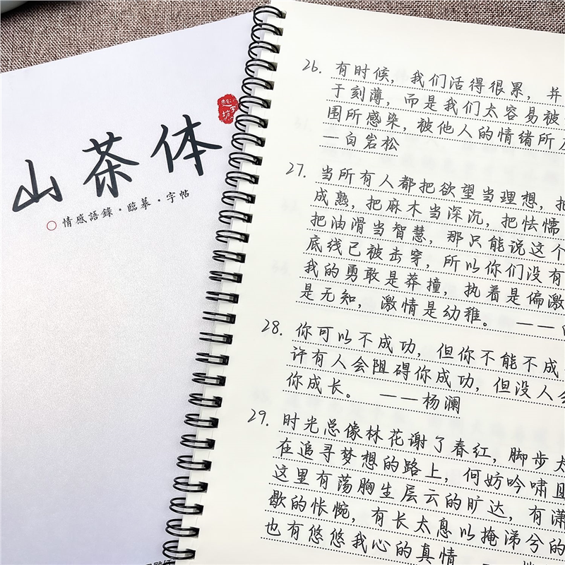 山茶体字帖练字帖作文素材字帖练高中生语录人民日报金句文案临摹