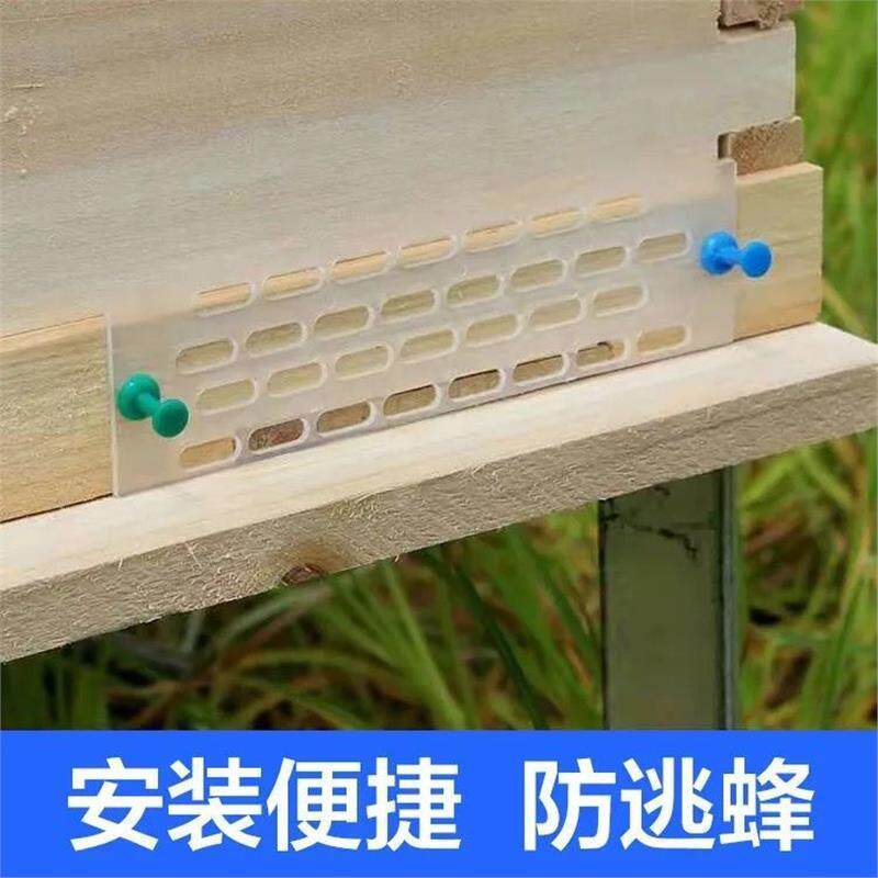 中蜂蜂王防逃片防跑王片中蜂防盗片蜂箱养蜂工具防盗蜂隔王片塑料