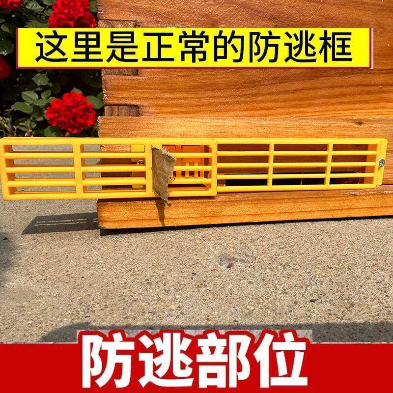 多功能自动中蜂分蜂器防逃防盗框蜜蜂专用蜂王控王去雄蜂工具养蜂