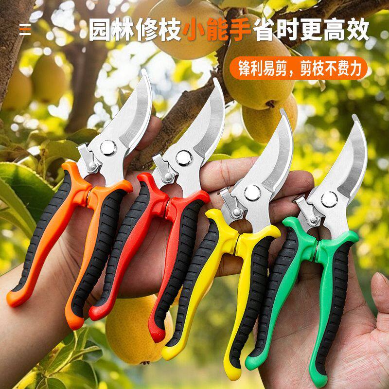 园艺修枝剪不锈钢剪刀省力剪枝神器园林专用果树修剪工具省时高效图片