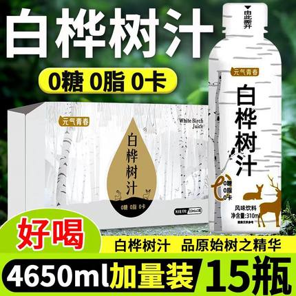 【15瓶特价】新日期白桦树汁绿色饮品植物饮料0糖0脂整箱特价批发