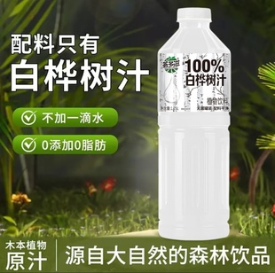 100%白桦树汁植物饮料1.25L 2大瓶配料干净无添加新日期整箱特价