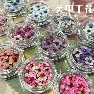 百宝箱手工定制美甲干花饰品ins日式 维妮 干燥花美甲diy材料迷你
