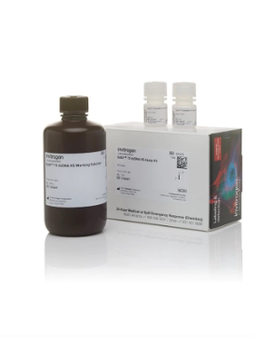 Invitrogen Qubit1X dsDNA试剂盒 Q33231，即用型 Q33231