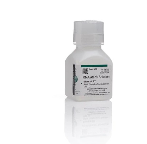 Invitrogen RNAlater Stabilization Solution 100ml/瓶 AM7020