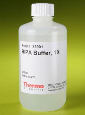 正品Thermo赛默飞 RIPA 裂解和提取缓冲液89900 100ml 89901