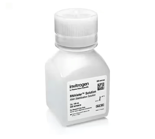 RNAlater RNA固定液  Invitrogen  100ML,500ML  AM7020/AM7021