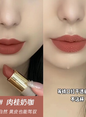 防水不沾杯不易掉色口红莱雪尔