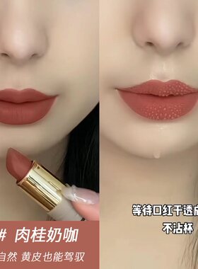 防水不沾杯不易掉色口红莱雪尔