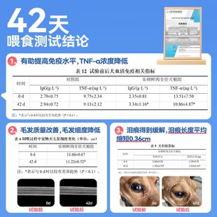 乐顿狗粮鲜肉无谷粮泰迪比熊柯基金毛幼犬成犬冻干旗舰店官方正品