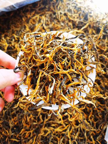 云南凤庆滇红茶叶古树红茶金芽曲条红 2022年散装滇红 特级 500g