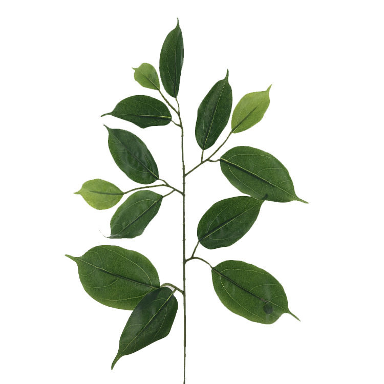 仿真樟树叶子绿植假树叶单枝香樟叶樟子榕叶绿色工程用材厂家