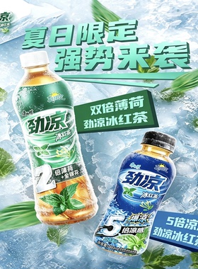 康师傅王一博五倍凉感劲凉双倍薄荷冰红茶380ml瓶装夏日饮品