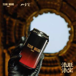 加多宝 X TEAM WANG design王嘉尔新春联名限定罐凉茶310ml罐装