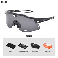 C0403-PC Grey Film