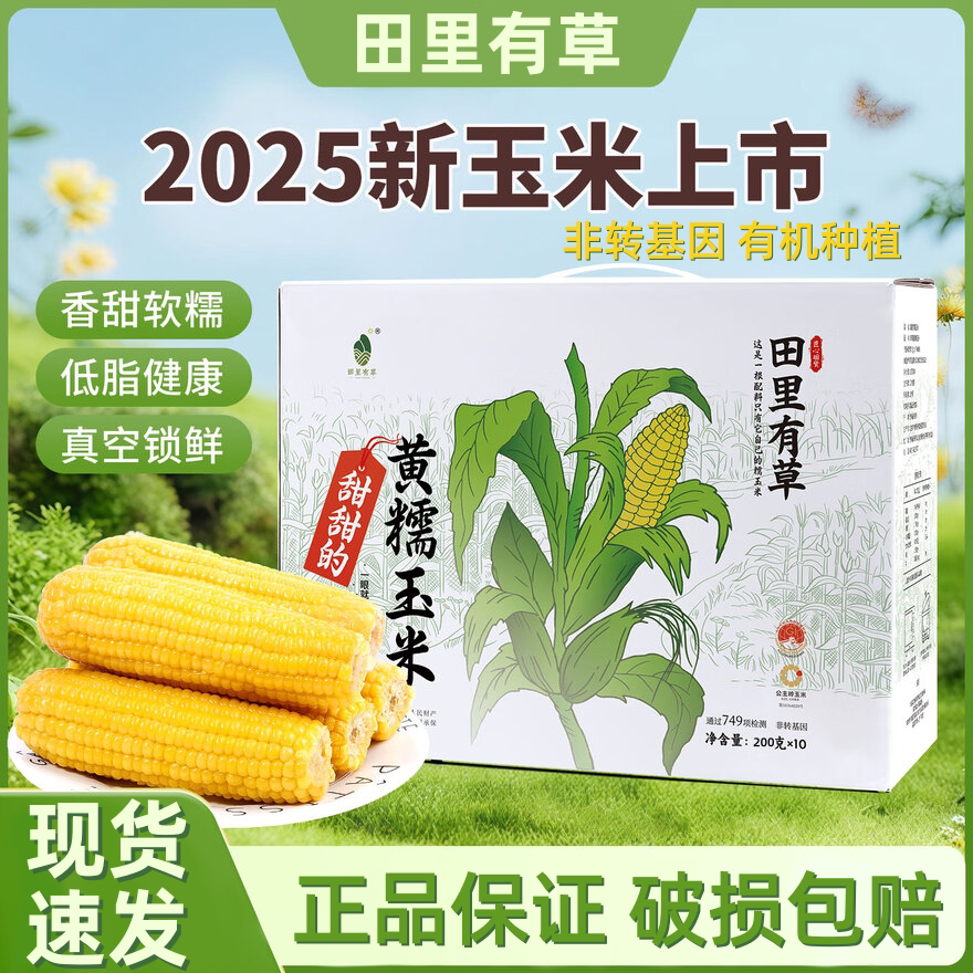 田里有草黄糯玉米12根 非转基因东北玉米棒真空包装粗粮代餐低脂