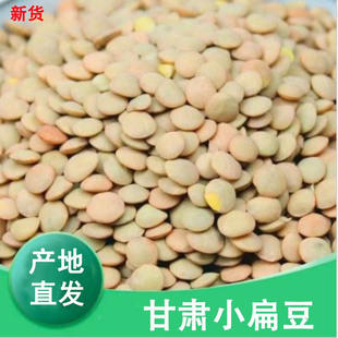 甘肃小扁豆 绿扁豆新鲜 农家小扁豆精选发芽菜 当季新货 全场包邮