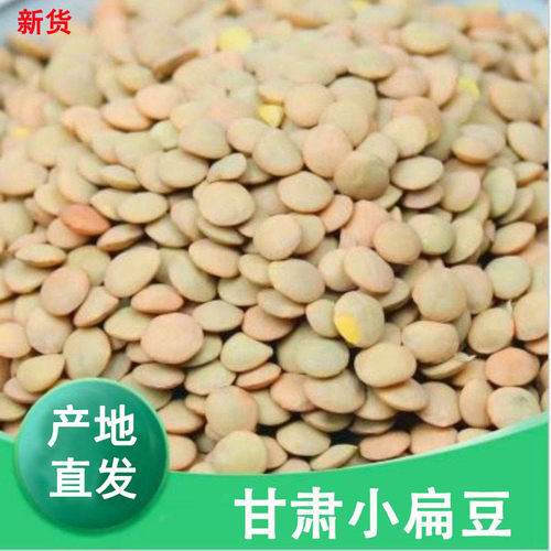 甘肃小扁豆 绿扁豆新鲜 农家小扁豆精选发芽菜 当季新货 全场包邮