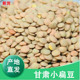 绿扁豆新鲜 全场 农家小扁豆精选发芽菜 甘肃小扁豆 当季 新货 包邮